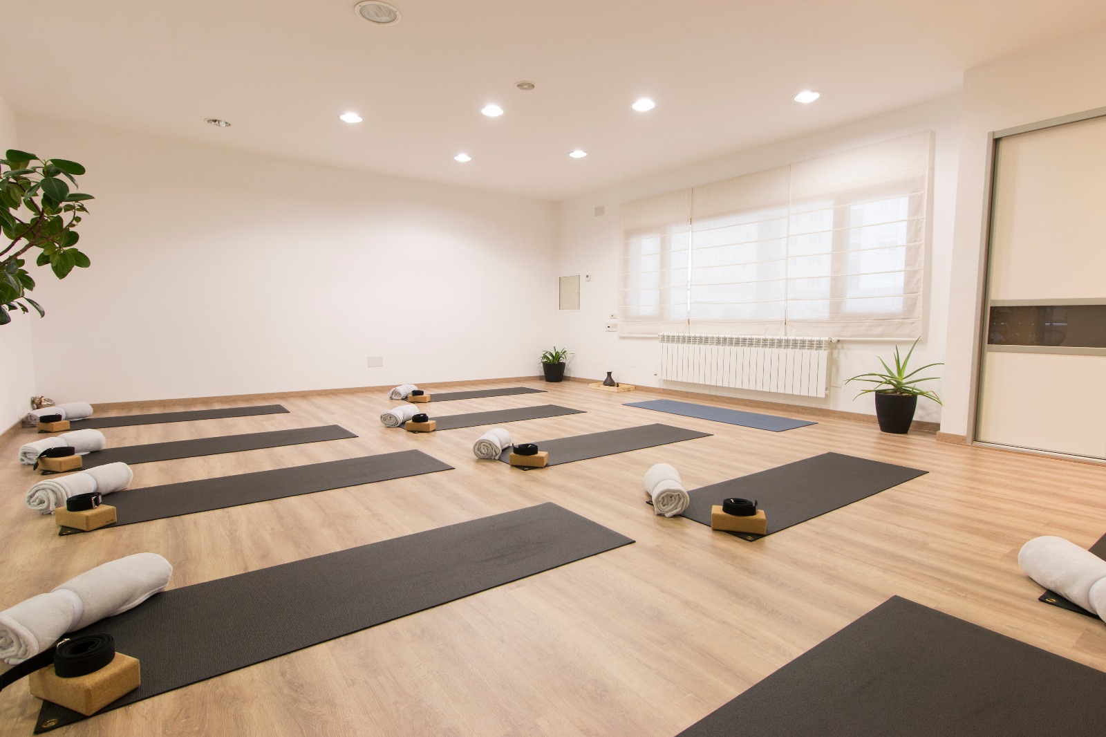 Sala de yoga Agarayoga